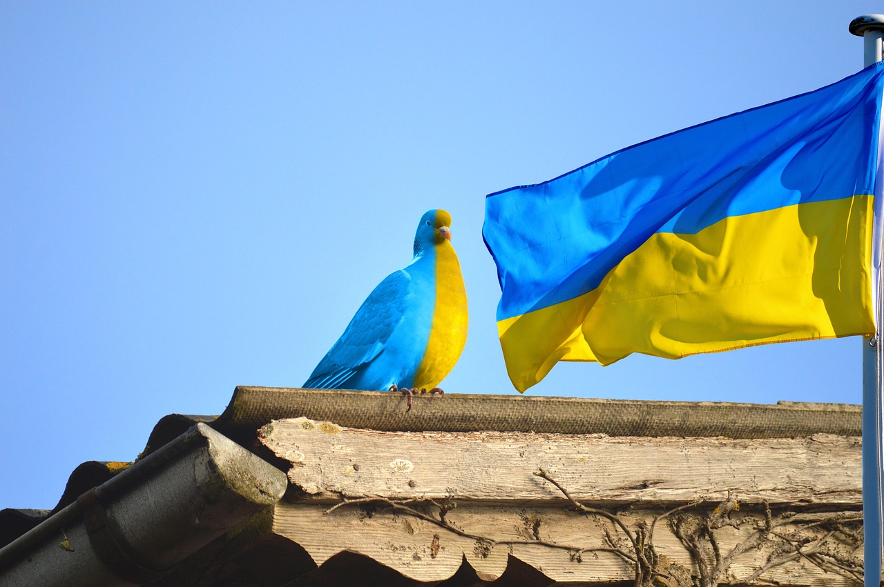 ukraine, ukrainian flag, dove, peace, dove of peace, ukraine flag, ukrainian national colors, solidarity, humanitarian aid, banner, compassion, cohesion, ukraine, ukraine, ukraine, ukraine, ukraine, ukrainian flag, ukraine flag, ukraine flag, ukraine flag, ukraine flag